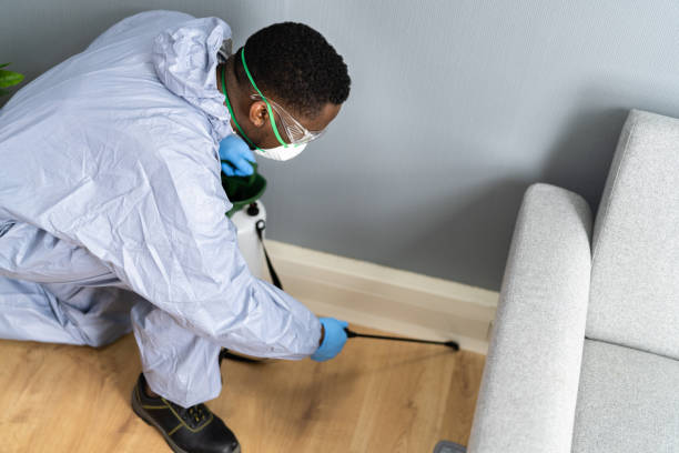 Best Real Estate Pest Inspections  in Minnetonka, MN